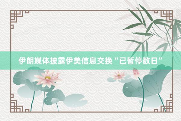 伊朗媒体披露伊美信息交换“已暂停数日”