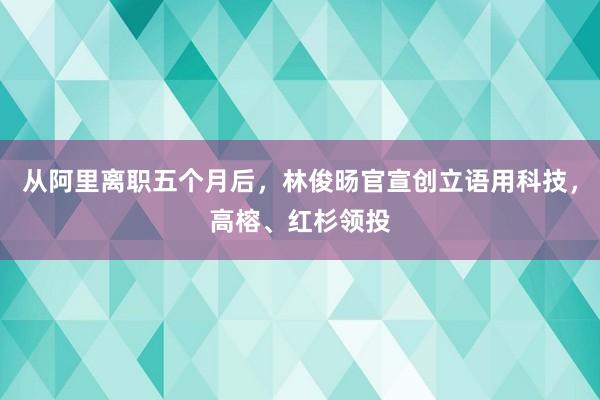 从阿里离职五个月后,林俊旸官宣创立语用科技,高榕、红杉领投