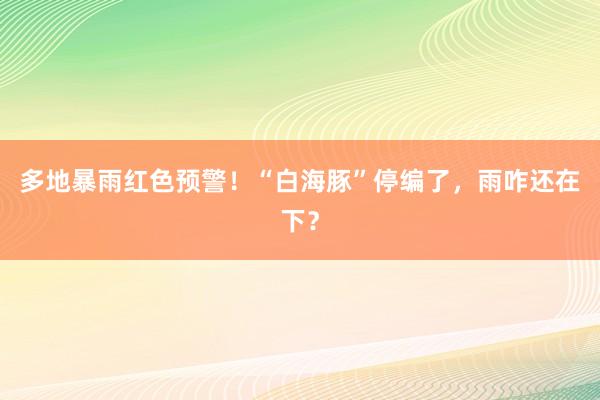 多地暴雨红色预警！“白海豚”停编了，雨咋还在下？