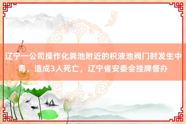 辽宁一公司操作化粪池附近的积液池阀门时发生中毒，造成3人死亡，辽宁省安委会挂牌督办