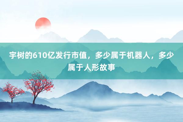 宇树的610亿发行市值，多少属于机器人，多少属于人形故事