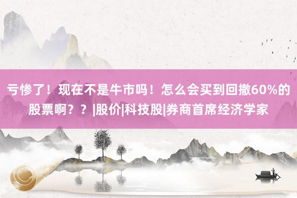 亏惨了！现在不是牛市吗！怎么会买到回撤60%的股票啊？？|股价|科技股|券商首席经济学家