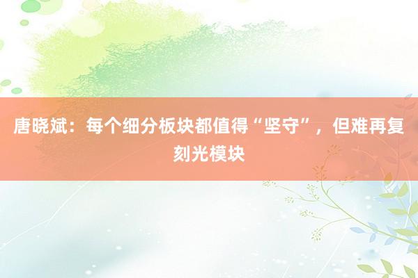唐晓斌：每个细分板块都值得“坚守”，但难再复刻光模块