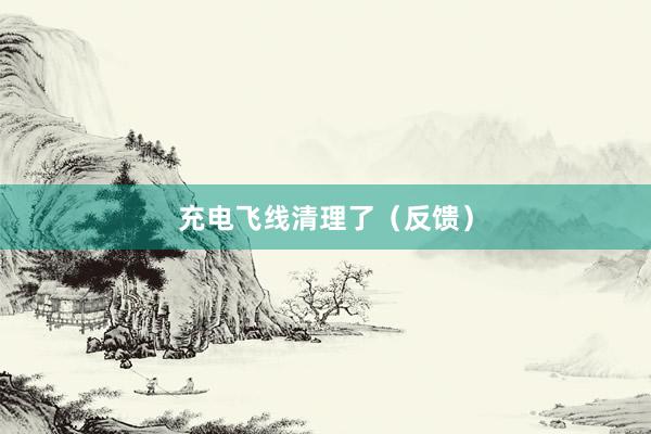 充电飞线清理了（反馈）