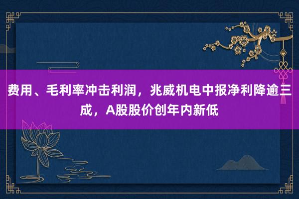费用、毛利率冲击利润，兆威机电中报净利降逾三成，A股股价创年内新低