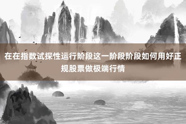 在在指数试探性运行阶段这一阶段阶段如何用好正规股票做极端行情
