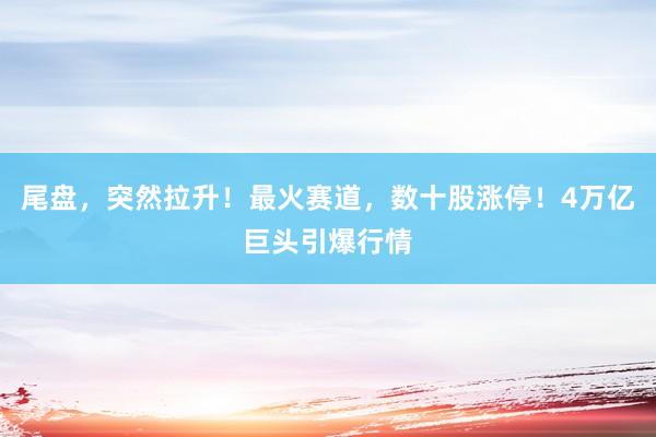 尾盘，突然拉升！最火赛道，数十股涨停！4万亿巨头引爆行情