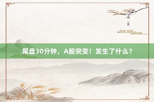 尾盘30分钟，A股突变！发生了什么？