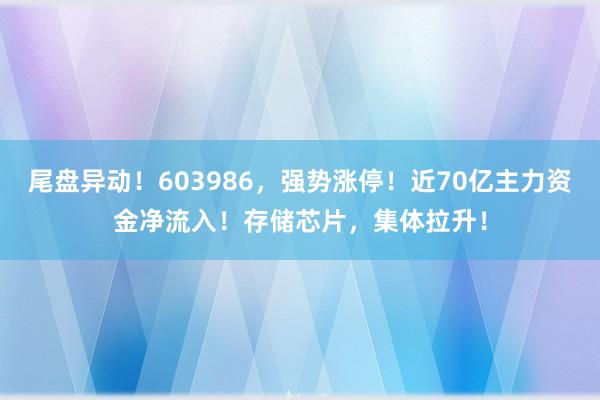 尾盘异动！603986，强势涨停！近70亿主力资金净流入！存储芯片，集体拉升！