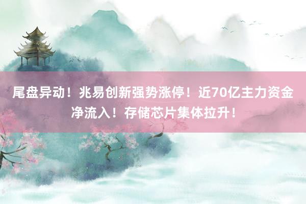 尾盘异动！兆易创新强势涨停！近70亿主力资金净流入！存储芯片集体拉升！