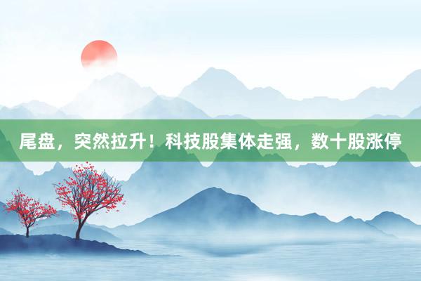 尾盘，突然拉升！科技股集体走强，数十股涨停