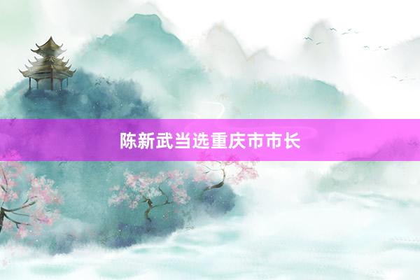陈新武当选重庆市市长