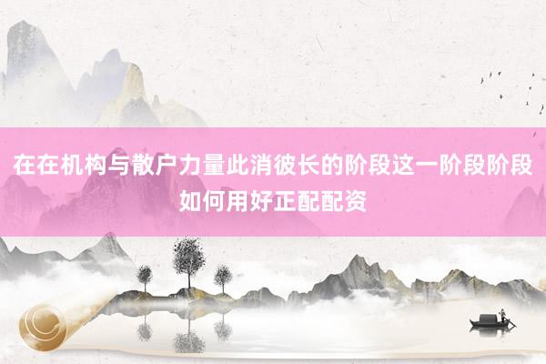 在在机构与散户力量此消彼长的阶段这一阶段阶段如何用好正配配资