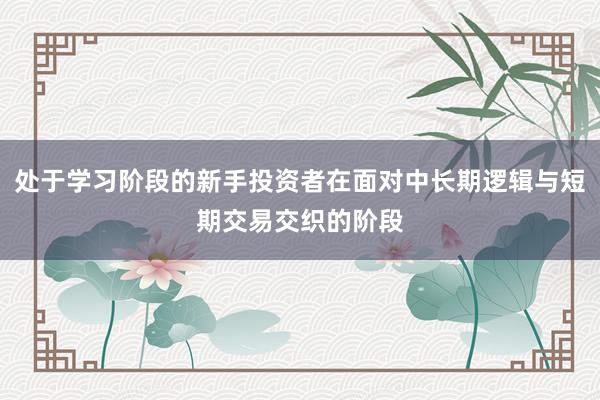 处于学习阶段的新手投资者在面对中长期逻辑与短期交易交织的阶段