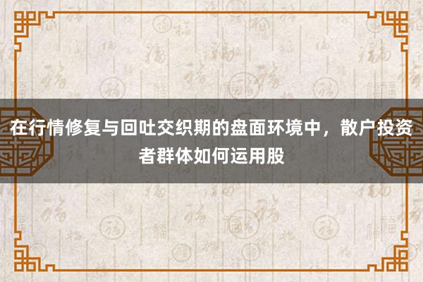 在行情修复与回吐交织期的盘面环境中，散户投资者群体如何运用股