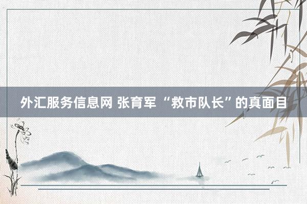 外汇服务信息网 张育军 “救市队长”的真面目