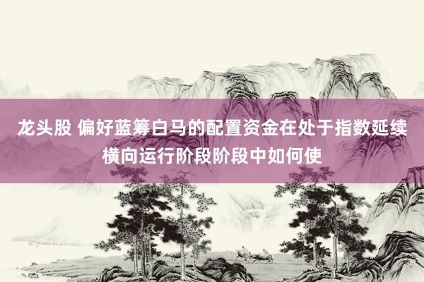 龙头股 偏好蓝筹白马的配置资金在处于指数延续横向运行阶段阶段中如何使