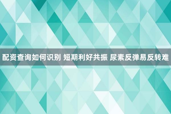 配资查询如何识别 短期利好共振 尿素反弹易反转难