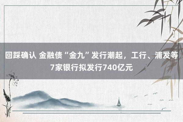 回踩确认 金融债“金九”发行潮起，工行、浦发等7家银行拟发行740亿元