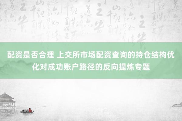 配资是否合理 上交所市场配资查询的持仓结构优化对成功账户路径的反向提炼专题