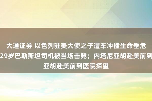 大通证券 以色列驻美大使之子遭车冲撞生命垂危，警方：29岁巴勒斯坦司机被当场击毙；内塔尼亚胡赴美前到医院探望