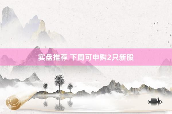 实盘推荐 下周可申购2只新股