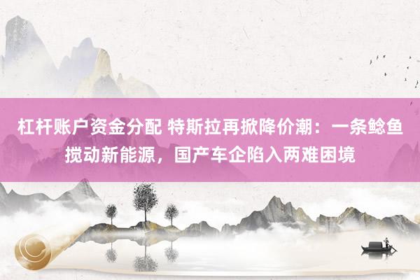杠杆账户资金分配 特斯拉再掀降价潮：一条鲶鱼搅动新能源，国产车企陷入两难困境
