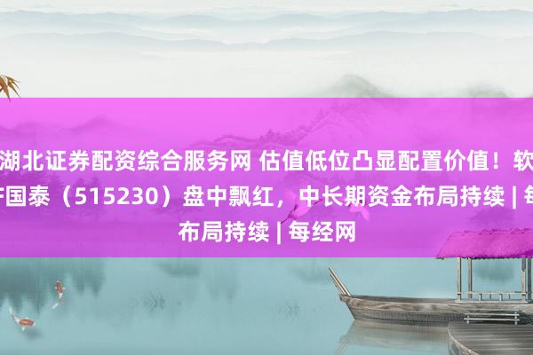湖北证券配资综合服务网 估值低位凸显配置价值！软件ETF国泰（515230）盘中飘红，中长期资金布局持续 | 每经网