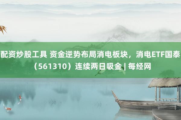 配资炒股工具 资金逆势布局消电板块，消电ETF国泰（561310）连续两日吸金 | 每经网