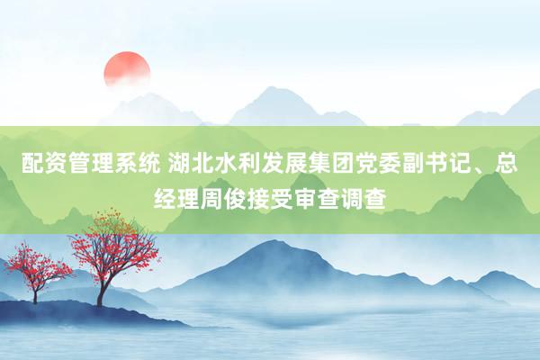 配资管理系统 湖北水利发展集团党委副书记、总经理周俊接受审查调查
