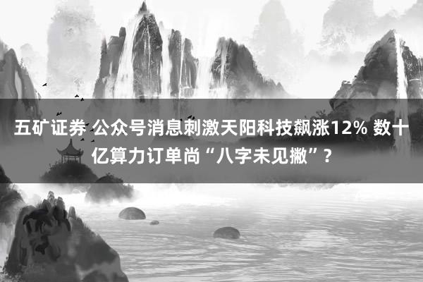 五矿证券 公众号消息刺激天阳科技飙涨12% 数十亿算力订单尚“八字未见撇”？