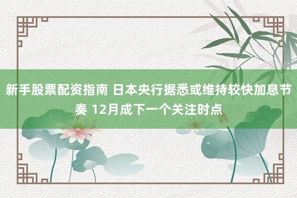 新手股票配资指南 日本央行据悉或维持较快加息节奏 12月成下一个关注时点