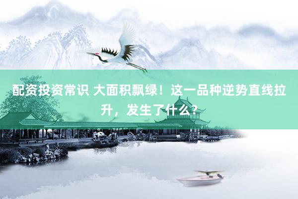 配资投资常识 大面积飘绿！这一品种逆势直线拉升，发生了什么？